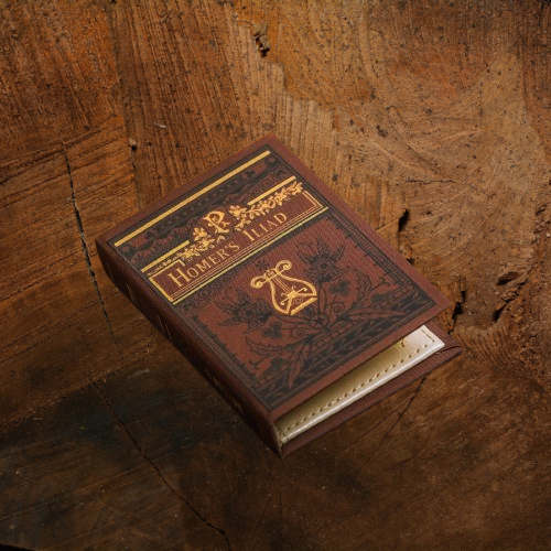 'Homers Iliad' ChapterCarry™